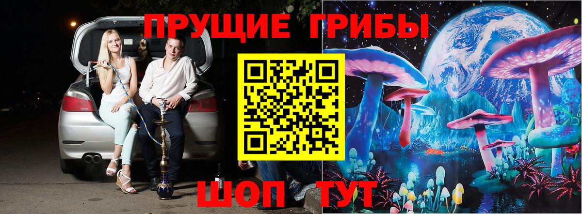 Галлюциногенные грибы MAGIC MUSHROOMS Кольчугино