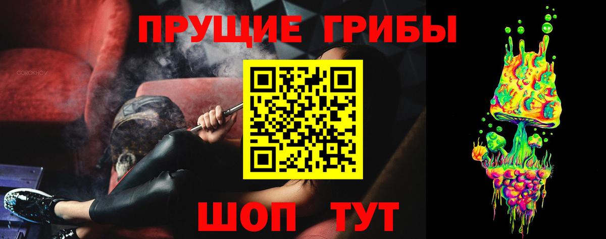 Псилоцибиновые грибы Psilocybine cubensis  купить  сайты  Вход с VPN  Кольчугино  Псилоцибиновые грибы GOLDEN TEACHER 