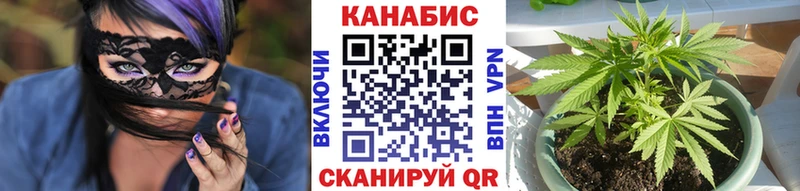 Шишки марихуана марихуана  Кольчугино 